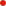 circulo-rojo